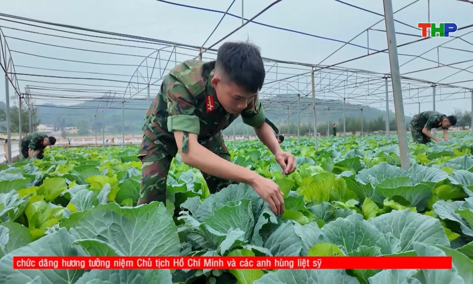 Qu&acirc;n khu 3: Tăng gia giỏi, nu&ocirc;i qu&acirc;n tốt