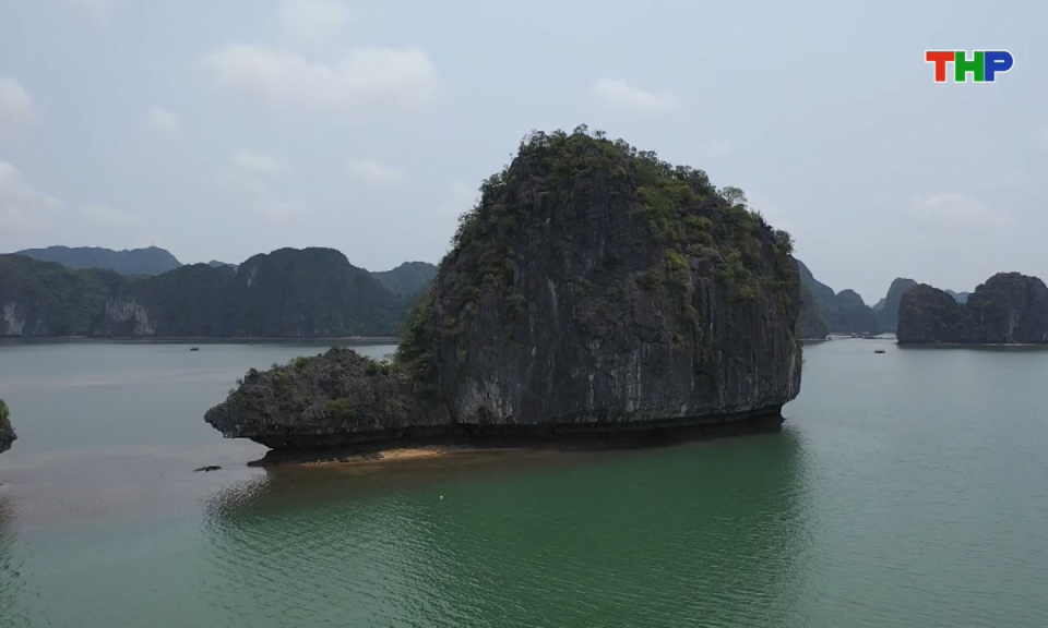 Phim t&agrave;i liệu: Vườn Quốc gia C&aacute;t B&agrave; - V&ugrave;ng l&otilde;i di sản cần được bảo tồn