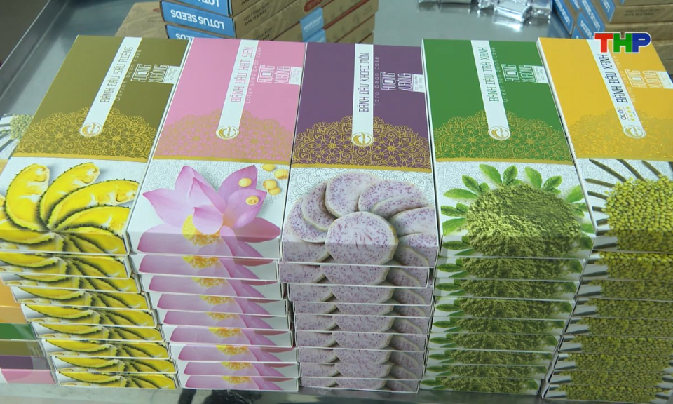 Kinh tế v&agrave; đ&ocirc; thị: Kinh tế tập thể th&agrave;nh phố - Một năm nh&igrave;n lại