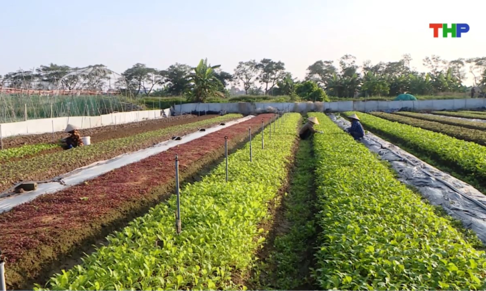 Bản tin thời sự trưa (23/12/2025)