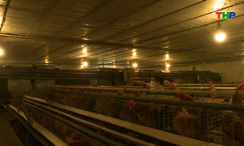 Bản tin tiếng Anh - Hai Phong News (23/12/2025)