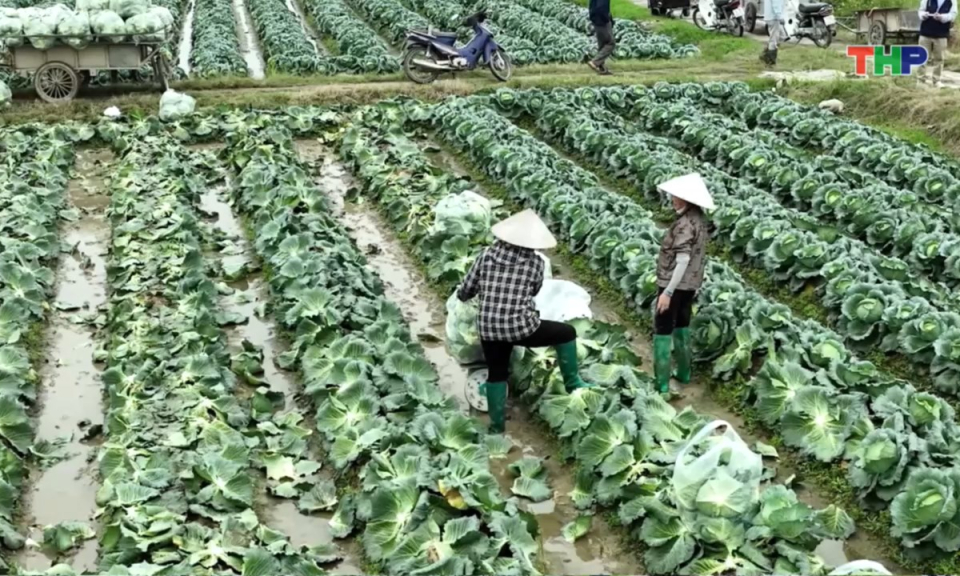 Bản tin thời sự tối (23/12/2025)