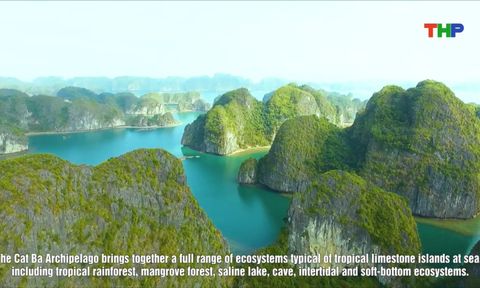 Phim t&agrave;i liệu: Quần đảo C&aacute;t B&agrave; - Chuỗi ngọc xanh giữa biển khơi