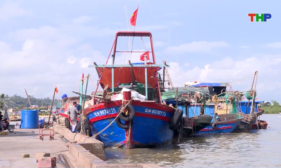 Bản tin thời sự trưa (24/12/2025)