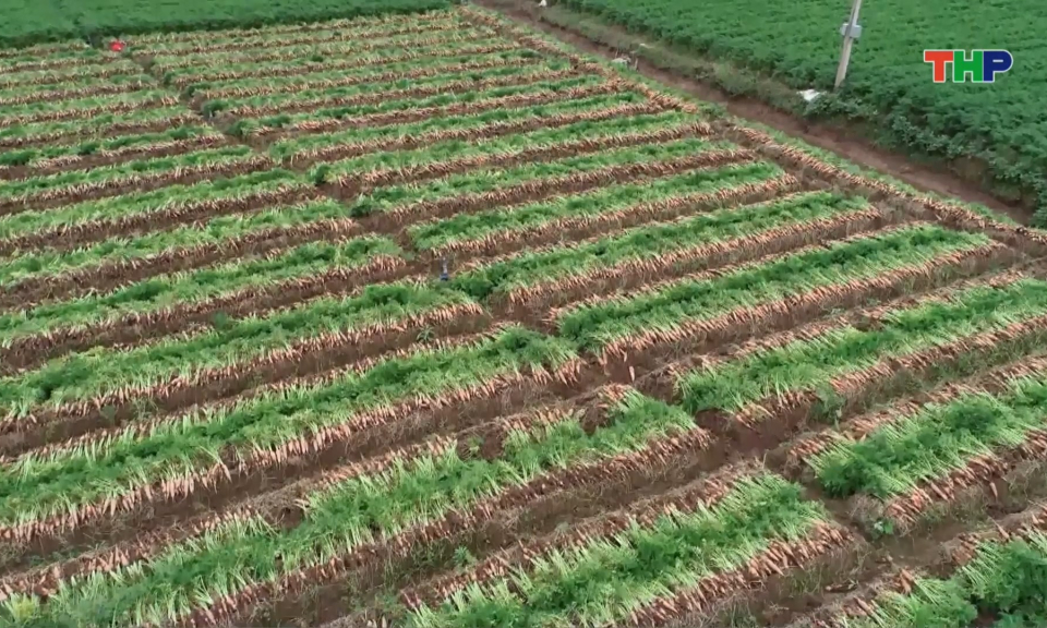 Kết nối n&ocirc;ng sản v&ugrave;ng đồng bằng s&ocirc;ng Hồng