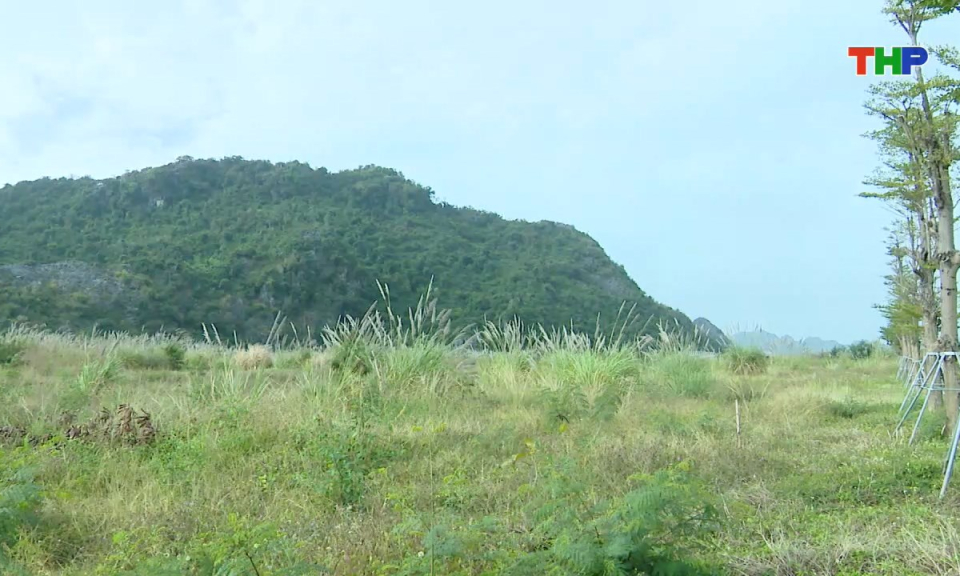 Bản tin tiếng Anh - Hai Phong News (24/12/2025)