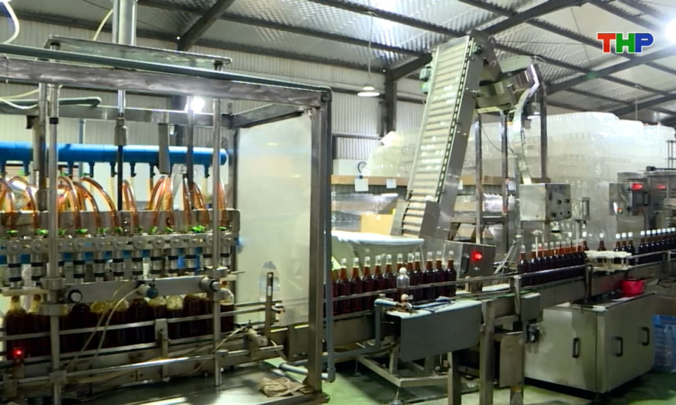 Bản tin tiếng Trung - 海防新闻 (24/12/2025)