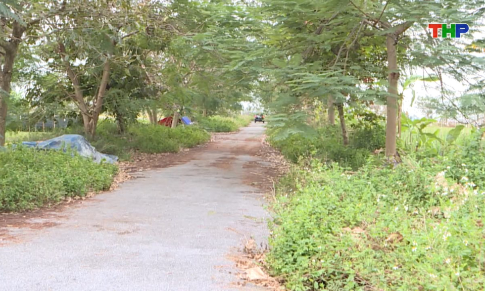 Ph&aacute;p luật v&agrave; cuộc sống: Khắc phục kh&oacute; khăn trong c&ocirc;ng t&aacute;c đấu gi&aacute; đất