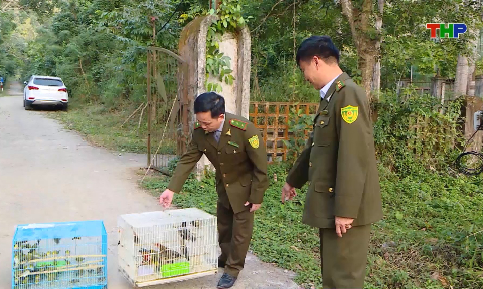 Tăng cường ph&ograve;ng chống săn bắt chim hoang d&atilde;