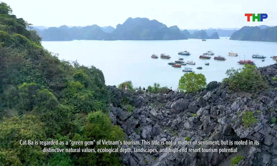 Phim t&agrave;i liệu: Đ&aacute;nh thức tiềm năng du lịch nghỉ dưỡng quần đảo C&aacute;t B&agrave;