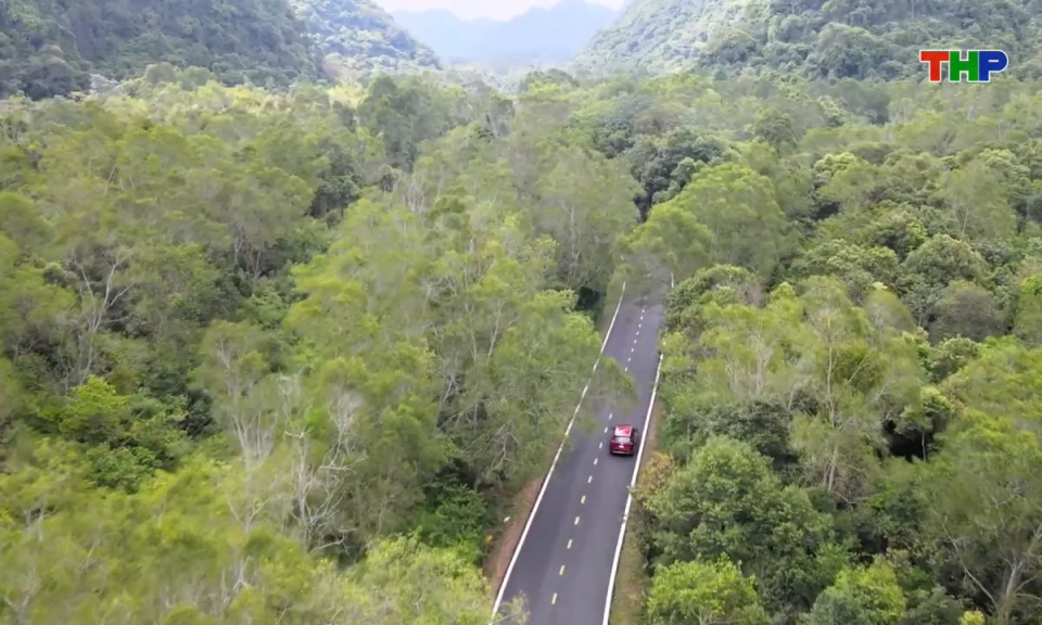 Hải Ph&ograve;ng những g&oacute;c nh&igrave;n: Đ&aacute;nh thức tiềm năng du lịch nghỉ dưỡng quần đảo C&aacute;t B&agrave;