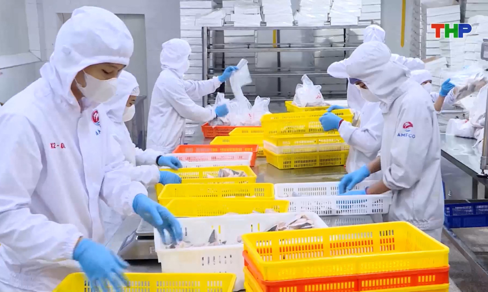 Gi&aacute; trị sản xuất thuỷ sản th&agrave;nh phố tăng cao trong năm 2025