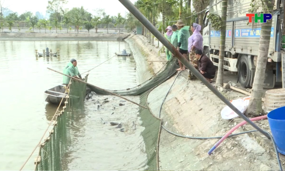 Bản tin thời sự tối (02/01/2026)