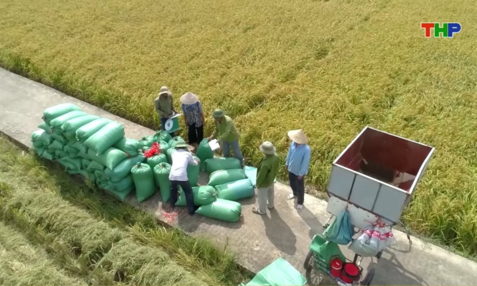 Bản tin thời sự trưa (03/01/2026)