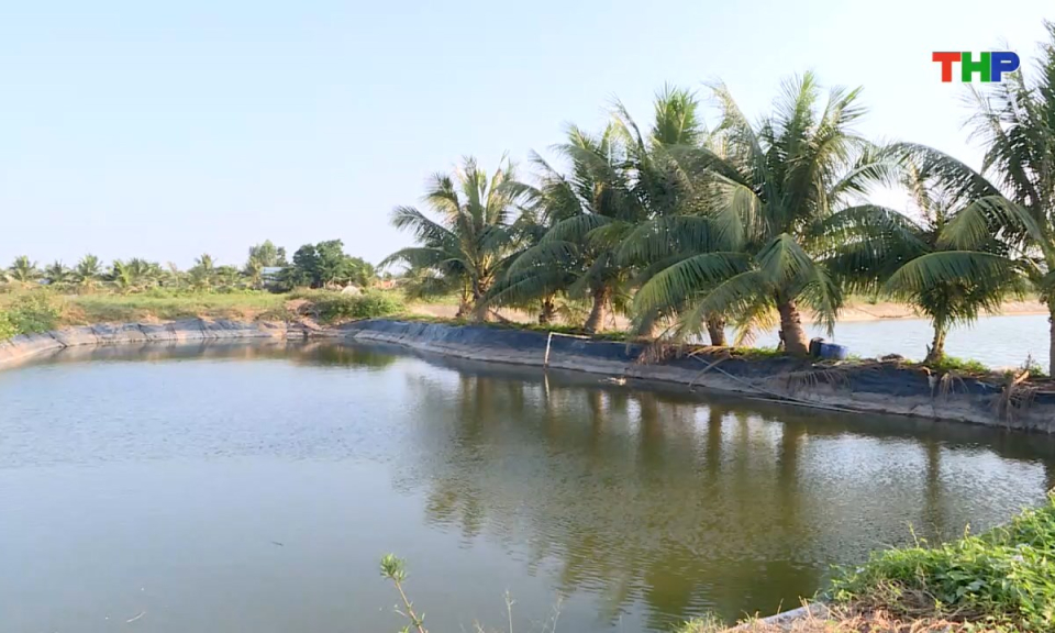 Bản tin tiếng Anh - Hai Phong News (03/01/2026)