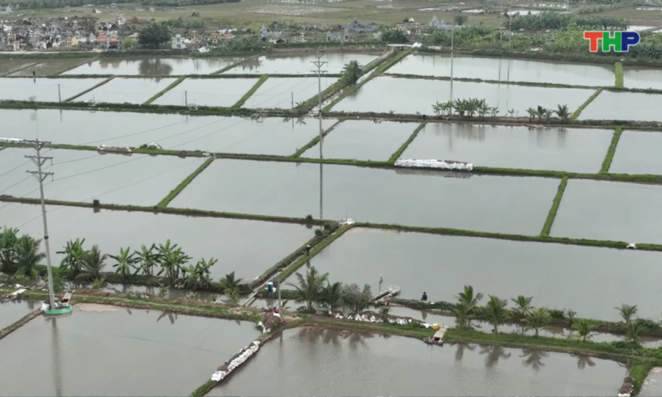 Bản tin thời sự tối (03/01/2026)