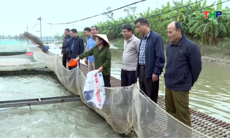 Nhịp sống 24h (04/01/2026)