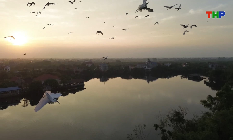 Nhộn nhịp du lịch đảo C&ograve; dịp Tết Dương lịch