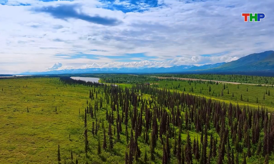 Kh&aacute;m ph&aacute; thế giới: Thi&ecirc;n nhi&ecirc;n hoang d&atilde; Alaska