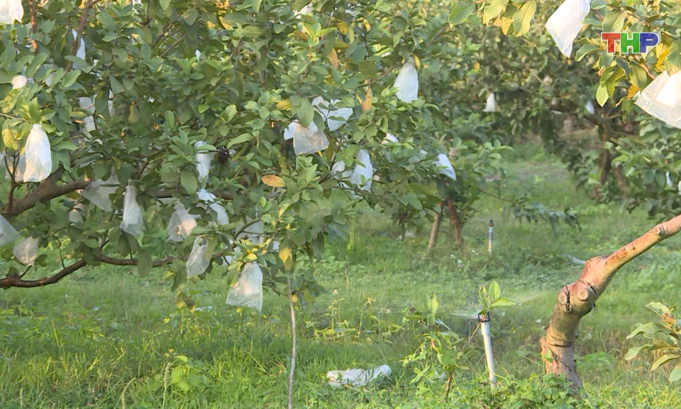 &Aacute;p dụng khoa học c&ocirc;ng nghệ v&agrave;o sản xuất n&ocirc;ng nghiệp