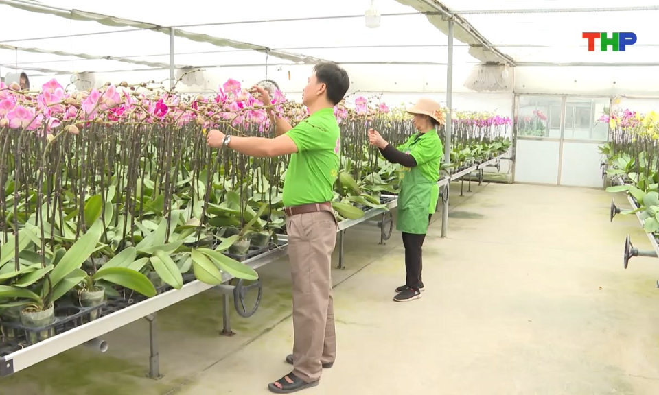 Bản tin tiếng Trung - 海防新闻 (05/01/2026)