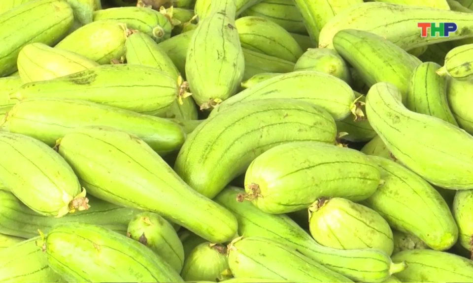 Bản tin thời sự tối (05/01/2026)