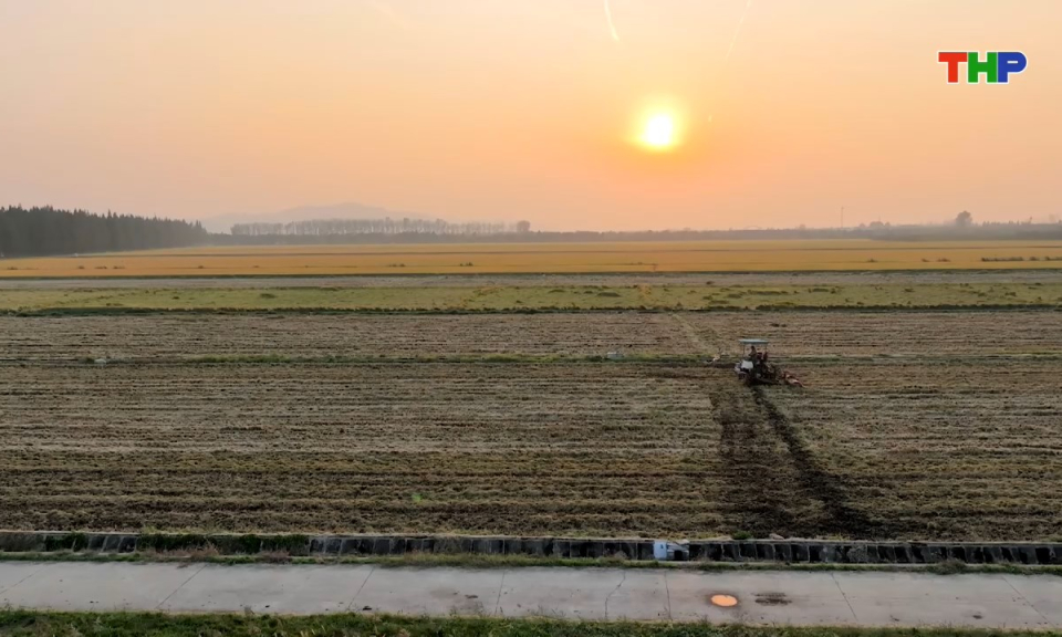 N&ocirc;ng th&ocirc;n mới Hải Ph&ograve;ng: Chủ động đổi mới tư duy, c&aacute;ch l&agrave;m trong sản xuất n&ocirc;ng nghiệp