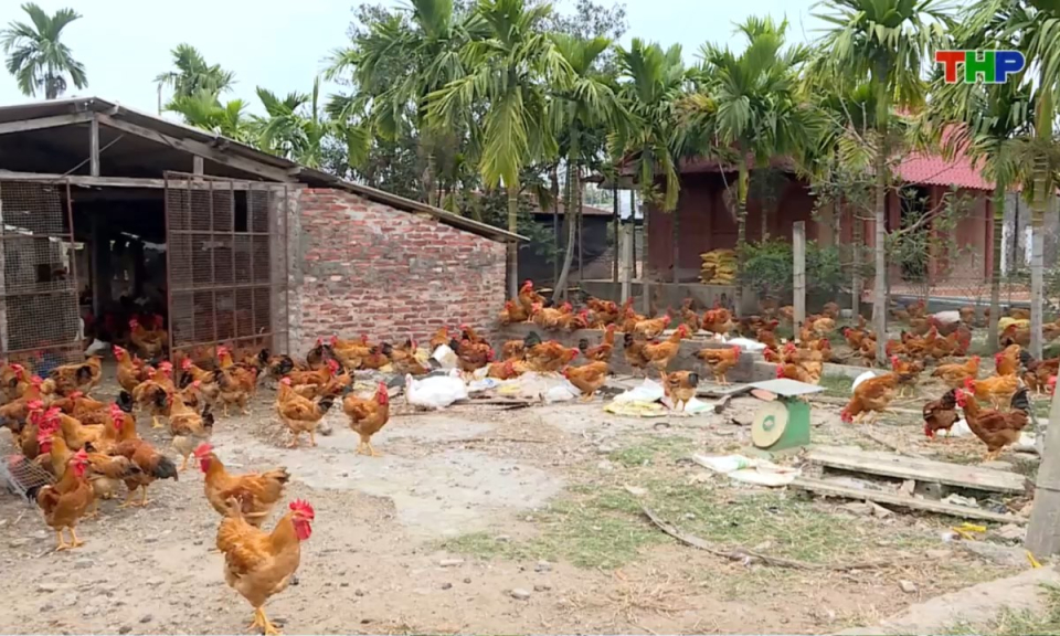 10 ph&uacute;t v&agrave;ng (07/01/2026)