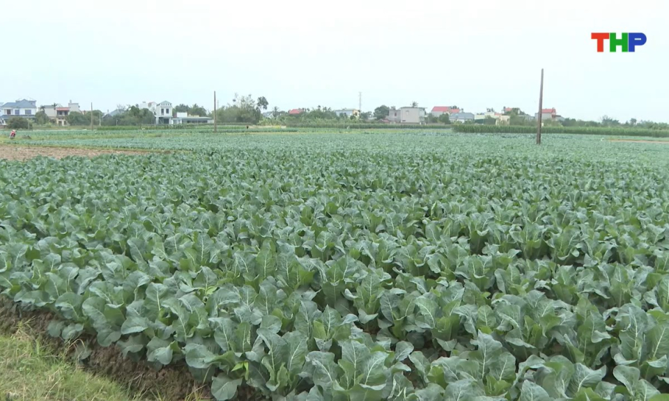 Bản tin thời sự s&aacute;ng (09/01/2026)