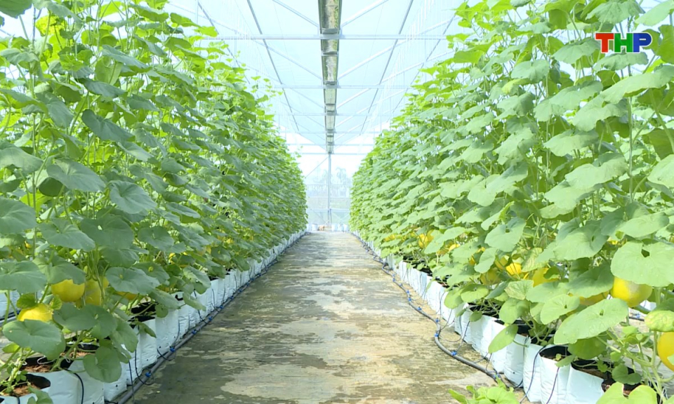 Khoa học c&ocirc;ng nghệ v&agrave; đời sống: Ứng dụng c&ocirc;ng nghệ Israel trong sản xuất n&ocirc;ng nghiệp