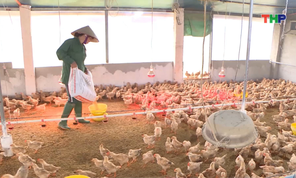 Chủ động ph&ograve;ng chống r&eacute;t cho đ&agrave;n vật nu&ocirc;i 