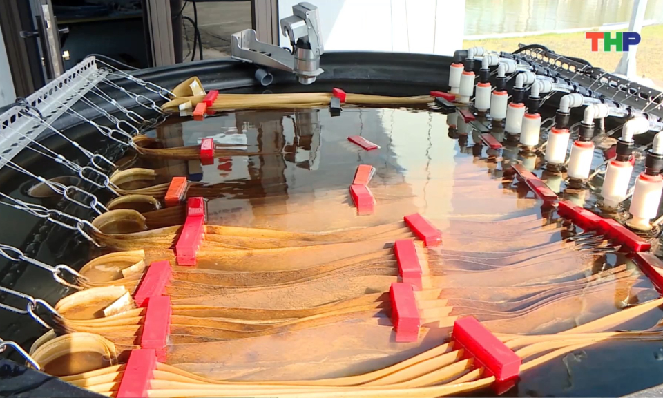 Chuyển đổi số trong cấp nước an to&agrave;n