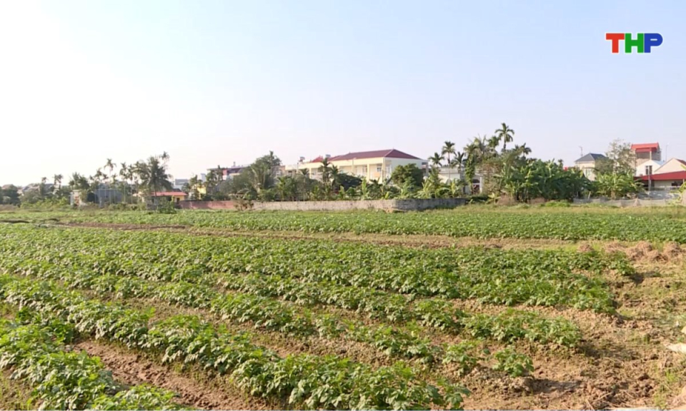 10 ph&uacute;t v&agrave;ng (09/01/2026)