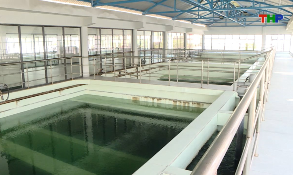 Bản tin tiếng Trung - 海防新闻 (09/01/2026)