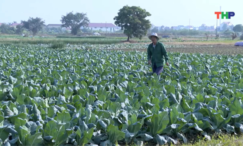 Nhịp sống 24h (10/01/2026)