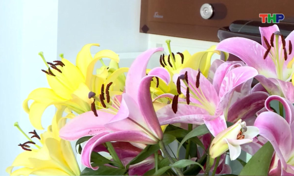 Nhịp sống 24h (11/01/2026)