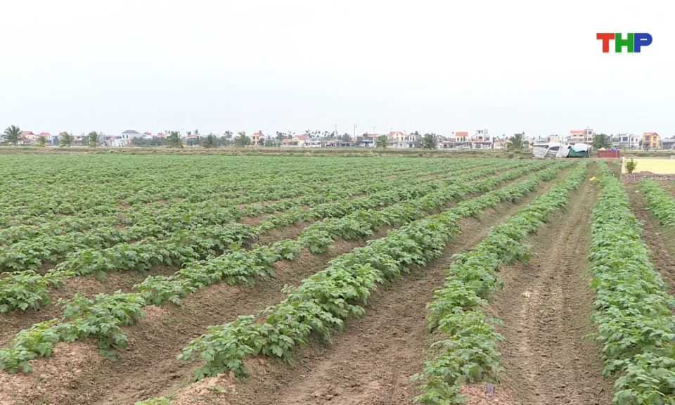 Nh&acirc;n rộng c&aacute;c m&ocirc; h&igrave;nh ph&aacute;t triển kinh tế hiệu quả  