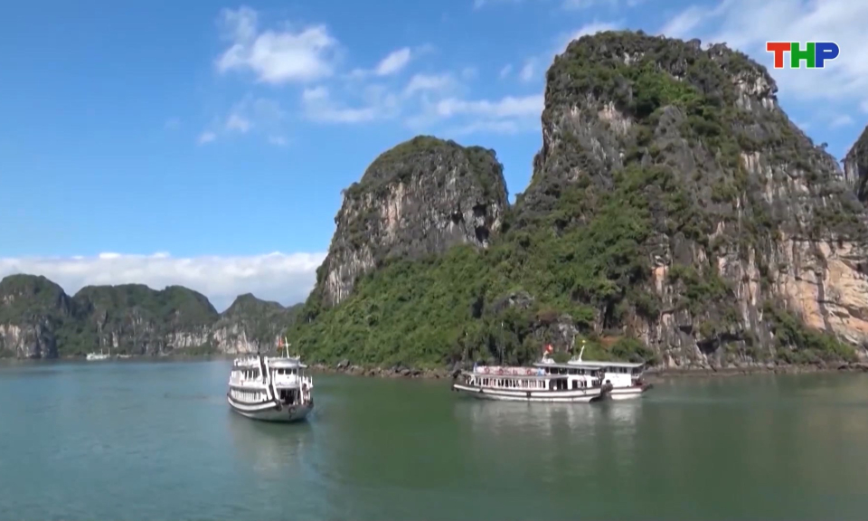 Tăng cường quản l&yacute; hoạt động du lịch C&aacute;t B&agrave; 