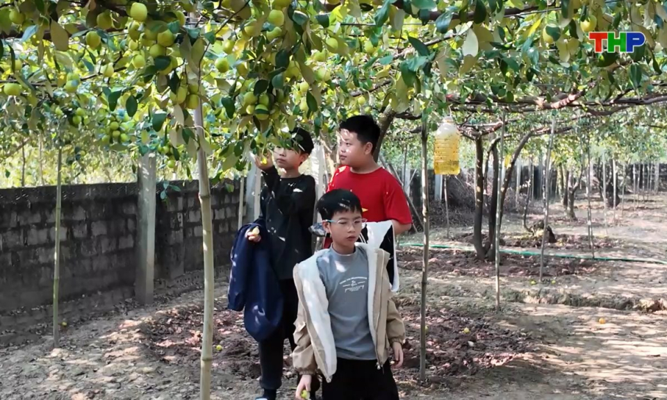 10 ph&uacute;t v&agrave;ng (11/01/2026)