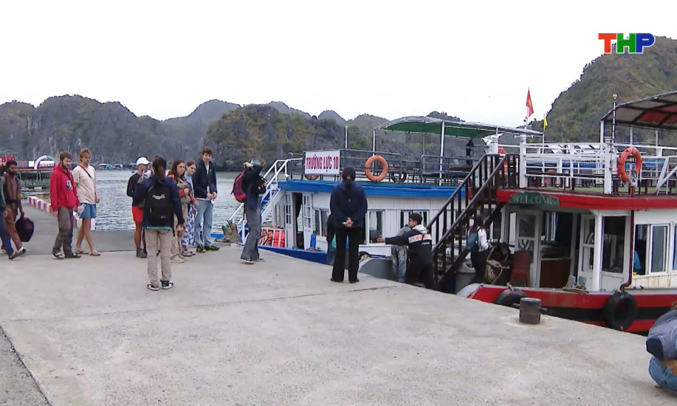 Bản tin tiếng Trung - 海防新闻 (11/01/2026)