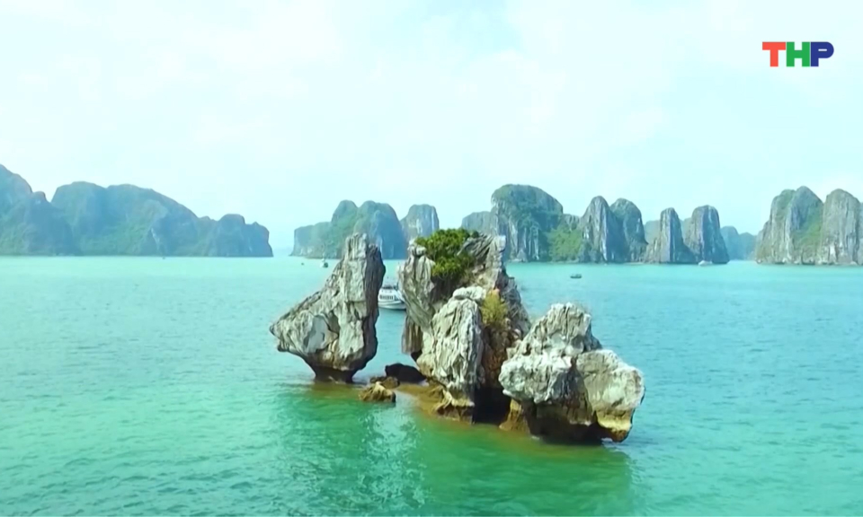 Bộ tiêu chí du lịch xanh - Nền tảng phát triển du lịch bền vững