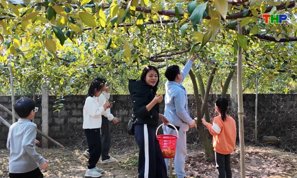 C&aacute;c nh&agrave; vườn B&agrave;ng La thu h&uacute;t kh&aacute;ch trải nghiệm 