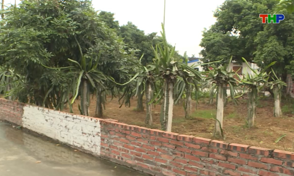 Ph&aacute;p luật v&agrave; cuộc sống: Kh&oacute; khăn trong thi h&agrave;nh &aacute;n d&acirc;n sự li&ecirc;n quan đến đất đai