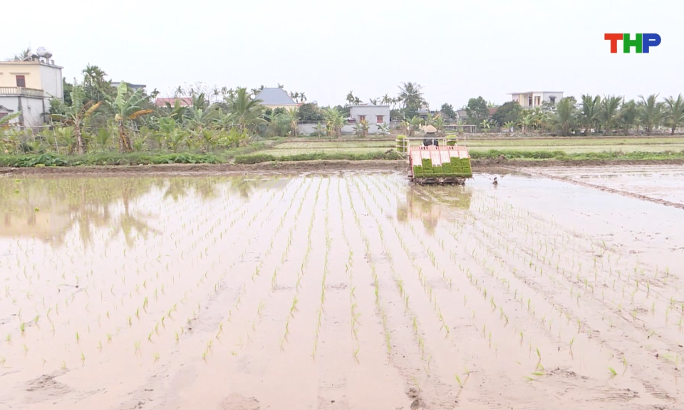 Chuẩn bị c&aacute;c điều kiện sản xuất vụ xu&acirc;n