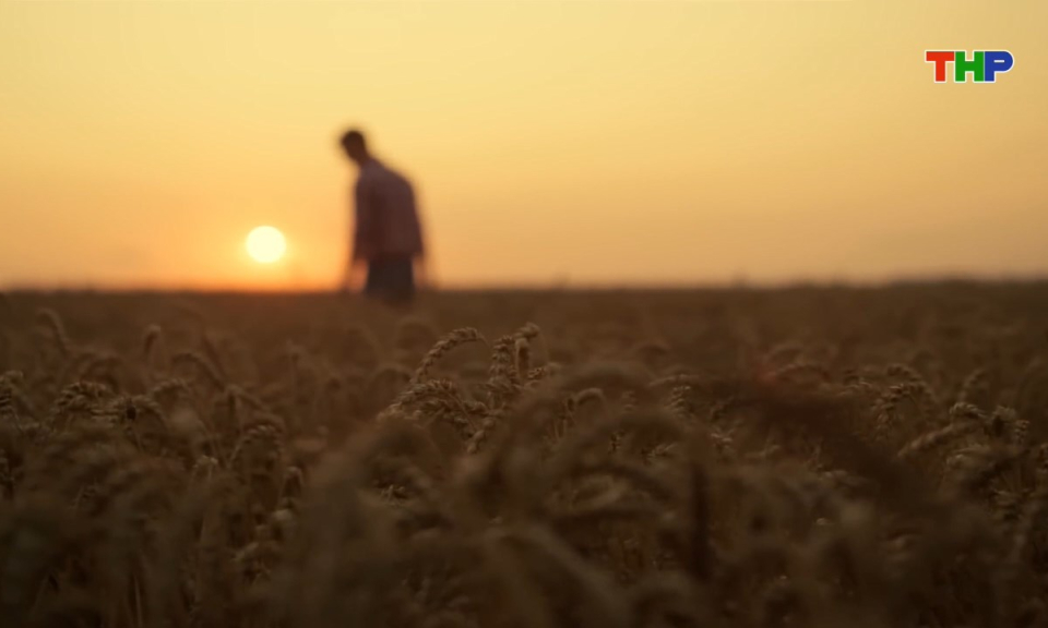 Hồ sơ quốc tế: Hồ sơ Fritz Haber - Khi khoa học đứng trước lựa chọn đạo đức