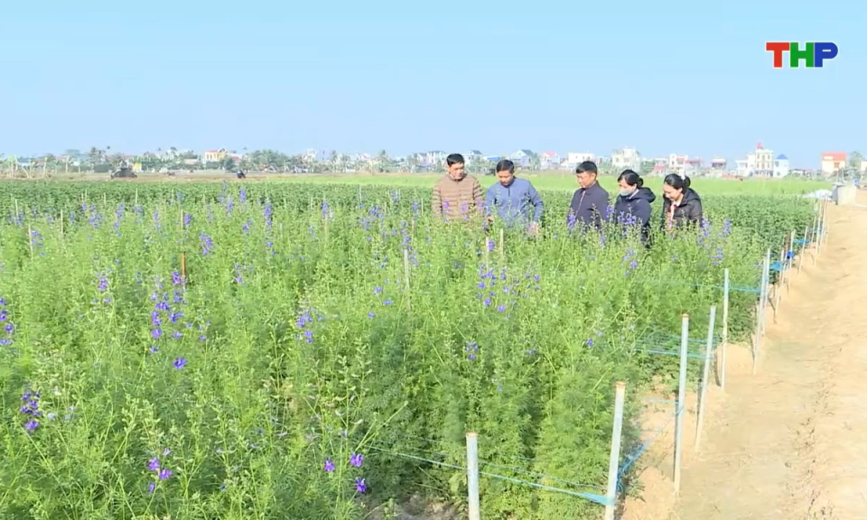 10 ph&uacute;t v&agrave;ng (16/01/2026)