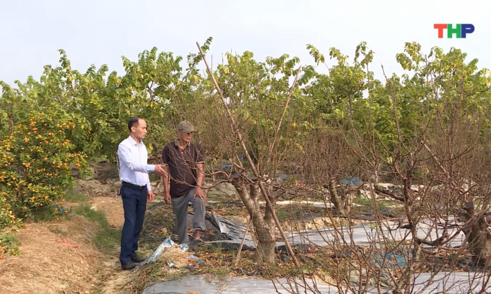 10 ph&uacute;t v&agrave;ng (17/01/2026)