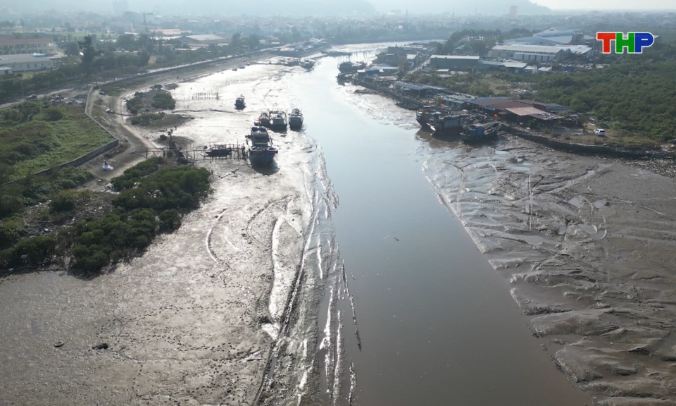 Thực trạng cảng c&aacute; Ngọc Hải