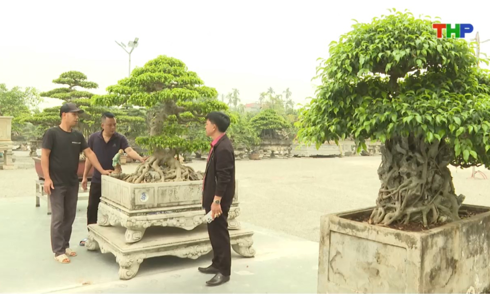 Bản tin thời sự cuối ng&agrave;y (19/01/2026)