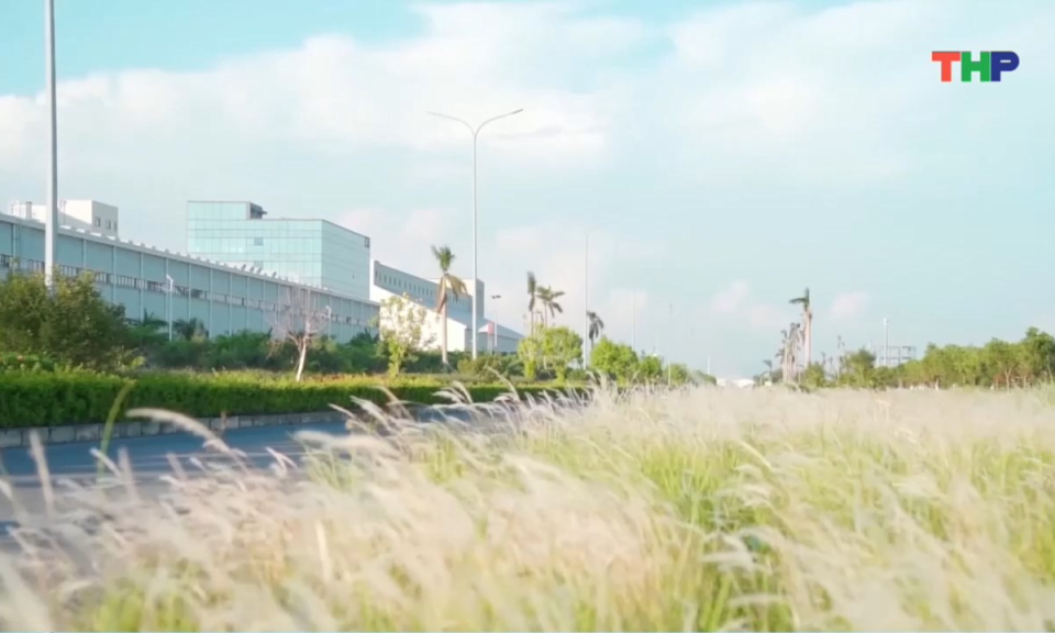 Bản tin thời sự 17h00 (21/01/2026)